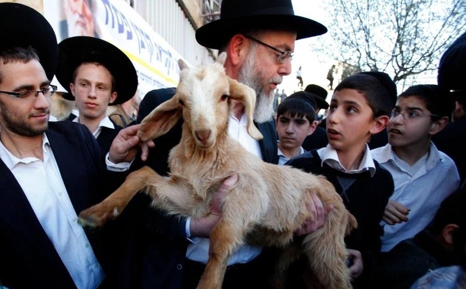 سبع محاولات لإدخال "قرابين" للمسجد الأقصى خلال "الفصح اليهودي" هذا العام