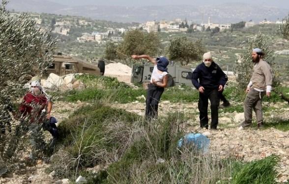 إصابة طفل جراء اعتداء مستعمرين عليه في بيتا
