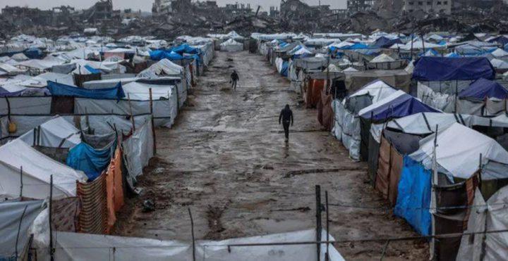 7 شهداء بسبب البرد.. تحذير حكومي من تدهور خطير للأوضاع الإنسانية في غزة