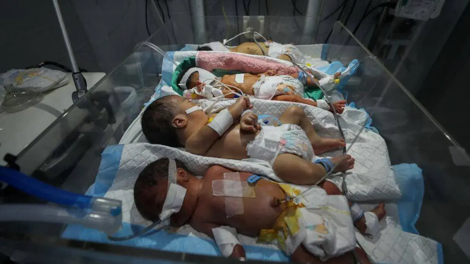 الصحة بغزة: القطاع شهد ولادة نحو 50 ألف طفل خلال عام 2025