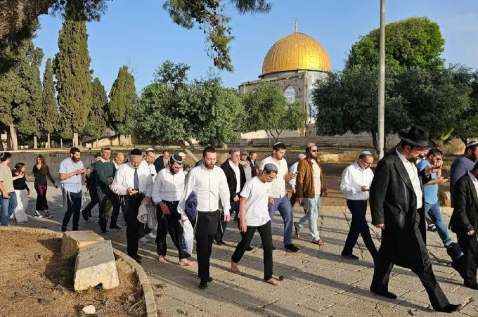 عشرات المستوطنين يقتحمون الأقصى ويُؤدون طقوسًا تلمودية أمام قبة الصخرة