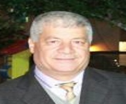 السلطة والانتخابات
