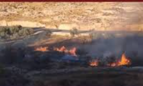 هيئة الجدار: 900 حريق لممتلكات فلسطينية بالضفة اقترفه المستوطنون والجيش