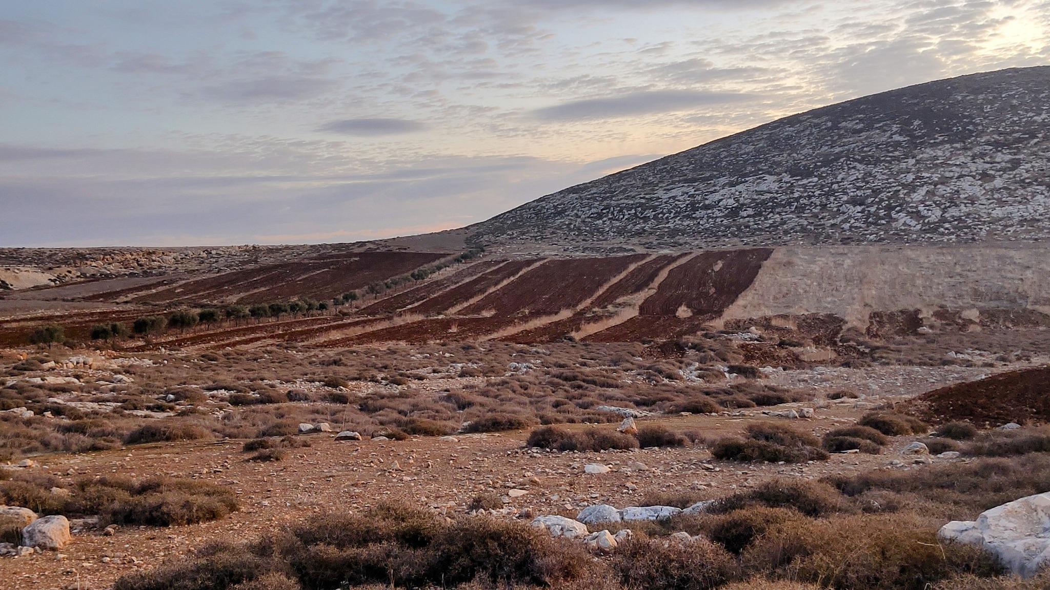 مستعمرون يُجرفون أراضي المواطنين في قرية مخماس شمال شرق القدس
