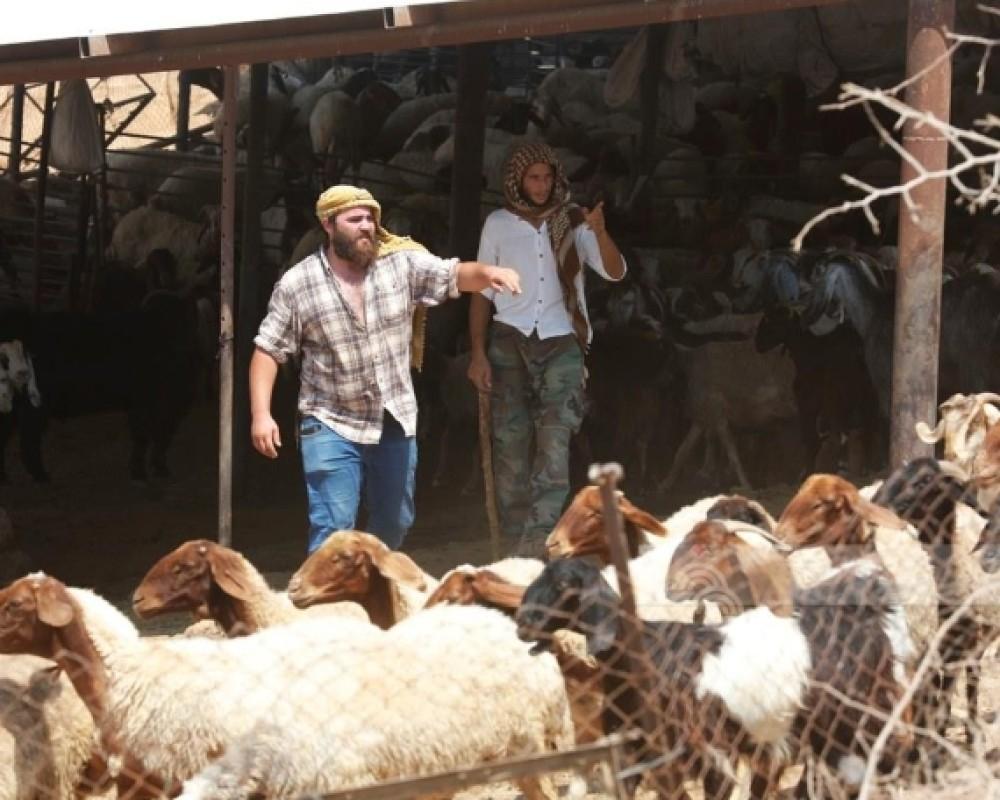 وسط جولات استفزازية ومهاجمة مواطنين