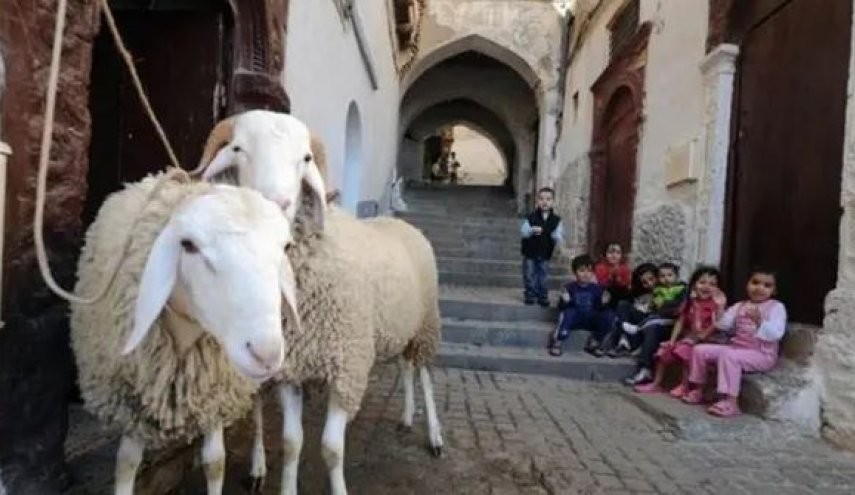 في الدول العربية