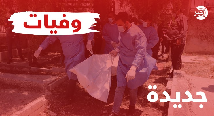 و504 حالات تعافٍ