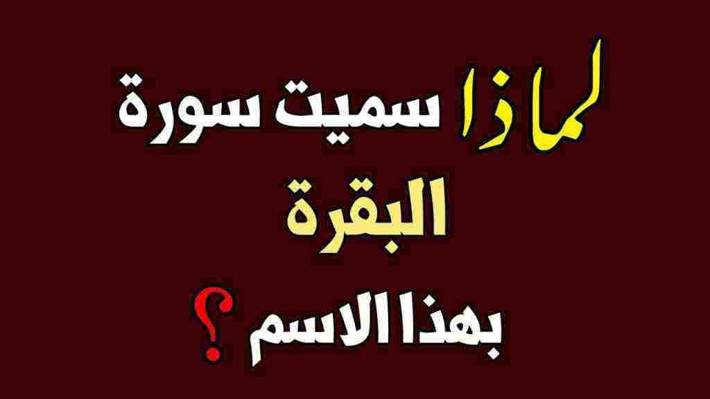 بالفيديو: لماذا سميت "سورة البقرة" بهذا الإسم؟!