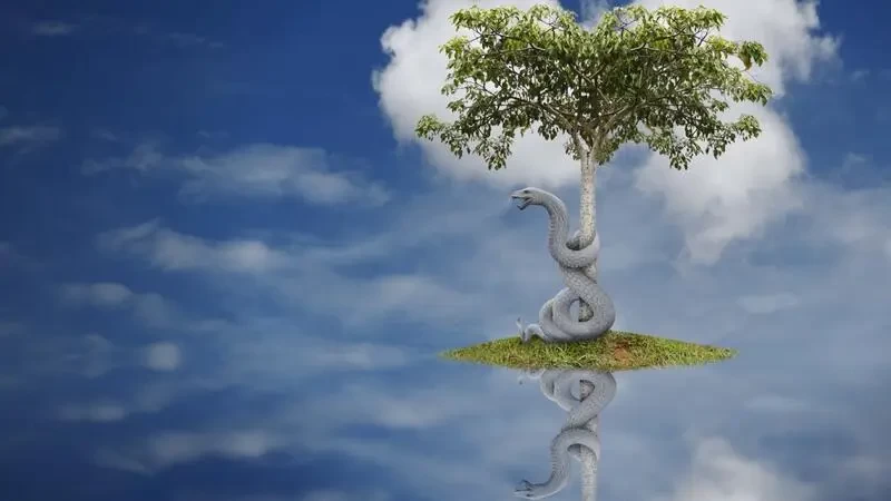 تفسير الاحلام