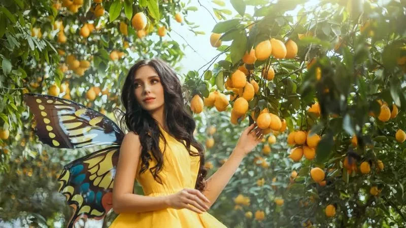 تفسير الاحلام