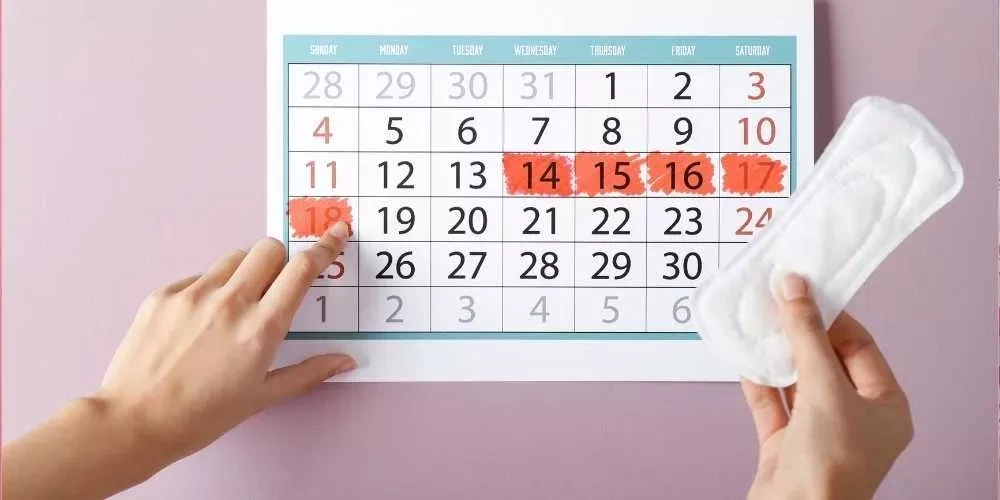 الدورة الشهرية