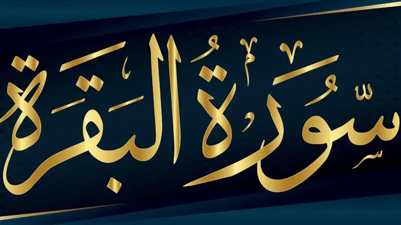 تفسير الاحلام