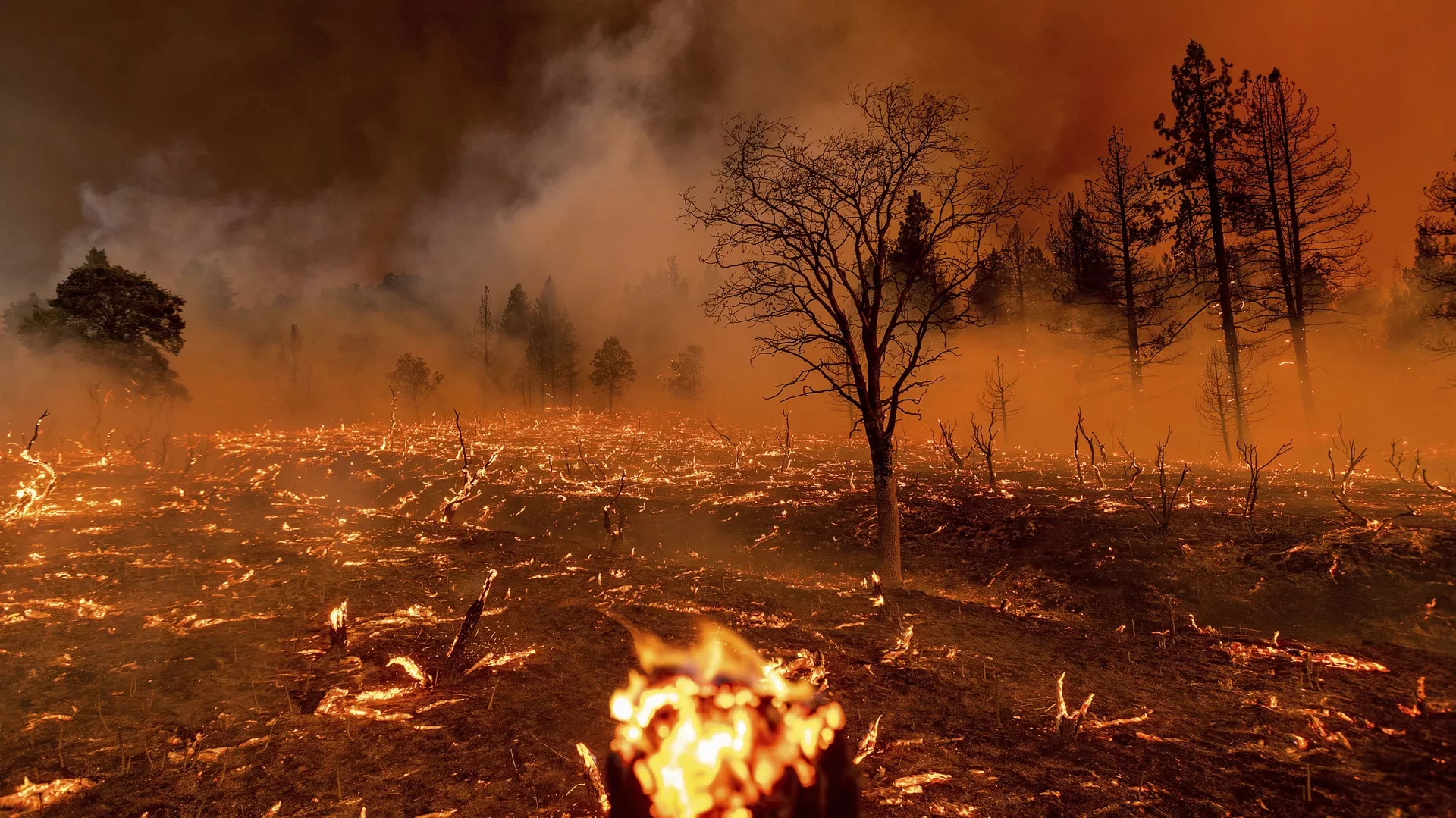 خلّفت دمارًا هائلًا