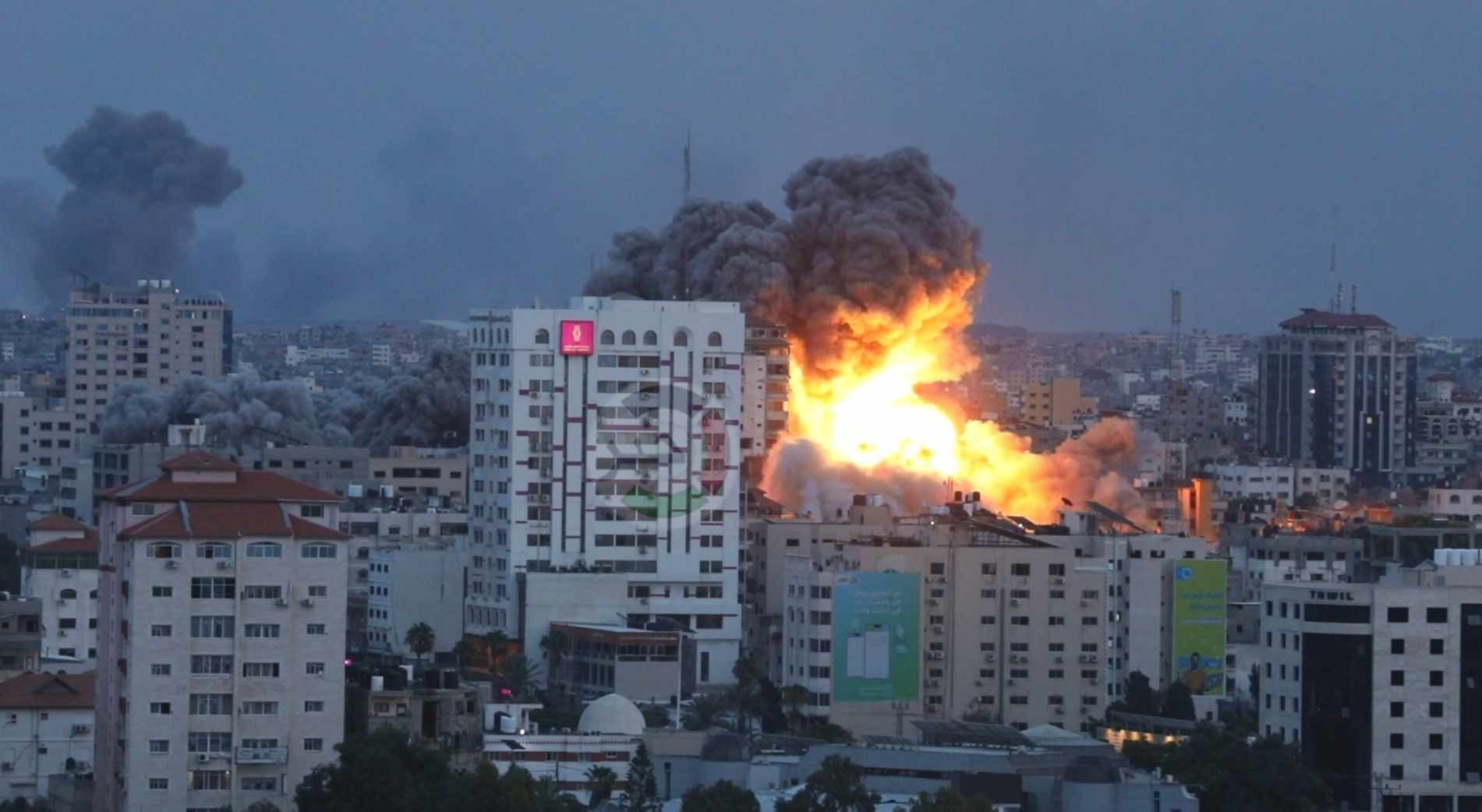 في ظل استمرار حرب الإبادة الجماعية