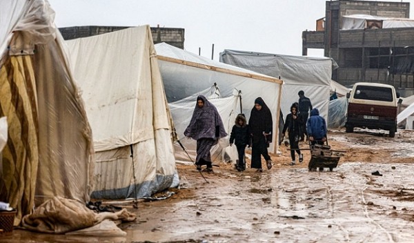 غرفة العمليات الحكومية: غزة بحاجة إلى حوالي 200 ألف وحدة سكنية مُسبقة الصنع لتلبية الاحتياجات الإنسانية