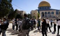الخارجية الأردنية تدين استمرار الانتهاكات الإسرائيلية في المسجد الأقصى