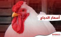 اسعار الدجاج