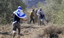 مركز حقوقي يُحذر من تصاعد اعتداءات المستوطنين بحق الفلسطينيين