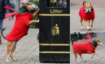 تنظيف شوارع بريطانيا