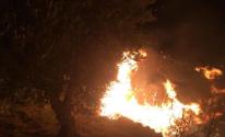 اندلاع حريق كبير في وادي بمدينة القدس المحتلة