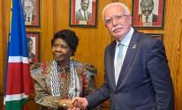 وزير الخارجية يلتقي نائبة رئيس البرلمان الناميبي