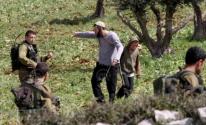 طولكرم: مستوطنون يعتدون على مزارعين أثناء قطف الزيتون