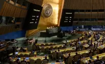 الأمم المتحدة.