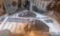 الدولار يتدفق في سوق العملات المصرية بعد خفض قيمة الجنيه