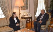 وزير الخارجية المصري شكري وزوجة الأسير مروان البرغوثي