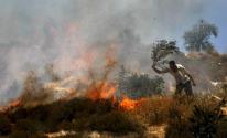 مستوطنون-يضرمون-النيران-في-أراضي-بورين-جنوب-نابلس-1689504809.jpg
