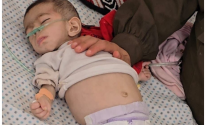 لقطة الشاشة 2025-05-03 101500.png