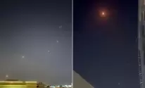 شسيضصيد-1750698161.webp