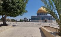 الاقصى