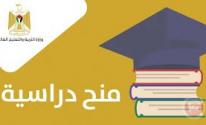 تنزيل (19).jpeg
