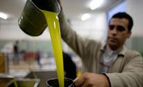 الزراعة بغزة تتحدث عن أسعار زيت الزيتون للموسم الحالي 2022