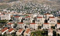 مسؤولة أممية: المستوطنات الإسرائيلية غير قانونية وتمثل عائقا في وجه السلام