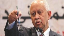وزير الخارجية اليمني رياض ياسين 