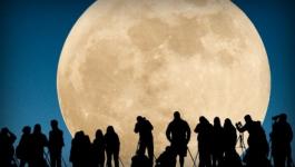 12172372838333255028320318247678