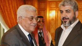 mahmoudMeshaal_2065099b