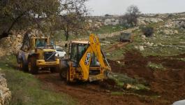 سلفيت: قوات الاحتلال تُواصل تجريف أراضٍ وتقتلع عشرات أشجار الزيتون