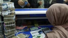 مالية غزة تسديد رسوم