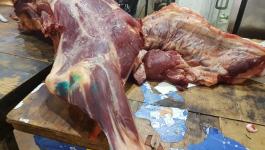 إتلاف حوالي نصف طن من اللحوم الفاسدة في غزّة