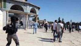 عشرات المستوطنين يقتحمون باحات المسجد الأقصى بحراسة مشددة