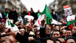 تظاهرة الجزائر