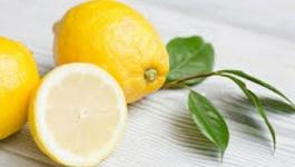 بالفيديو: الليمون يقتل 12 نوعًا من الخلايا 