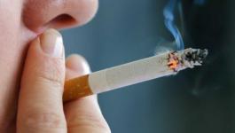 مصر: عدد المدخنين يفوق 11 مليون غالبيتهم من الرجال