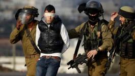 الاحتلال يعتقل فتى بزعم حيازته سلاحًا في النقب