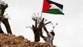الحملة الأكاديمية الدولية لمناهضة الاحتلال الاسرائيلي وخطة الضم