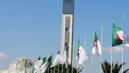 موقع نتائج التحويلات الجامعية 2020 في الجزائر