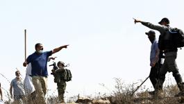 نابلس: مستوطنون يُهاجمون قاطفي الزيتون في قرية عزموط